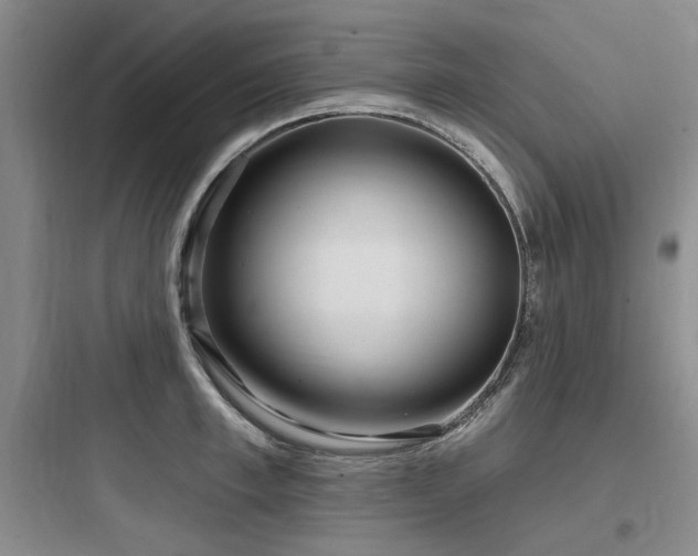 X0000097990997200803241337