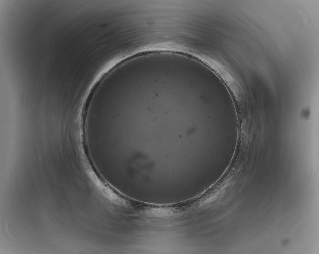 X0000097990998200803241337