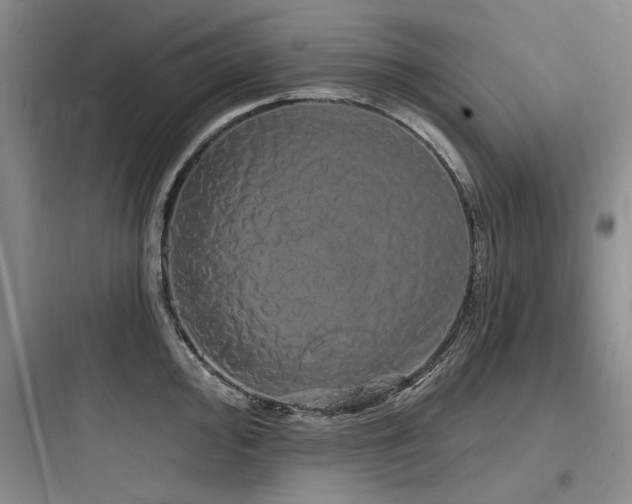 X0000097991000200803241337