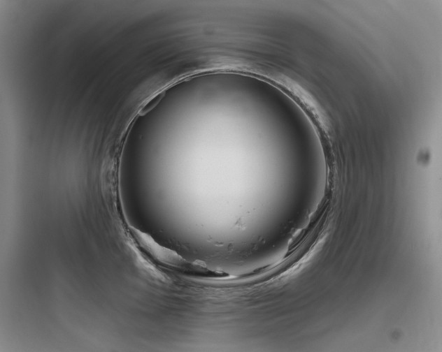 X0000097991001200803241337