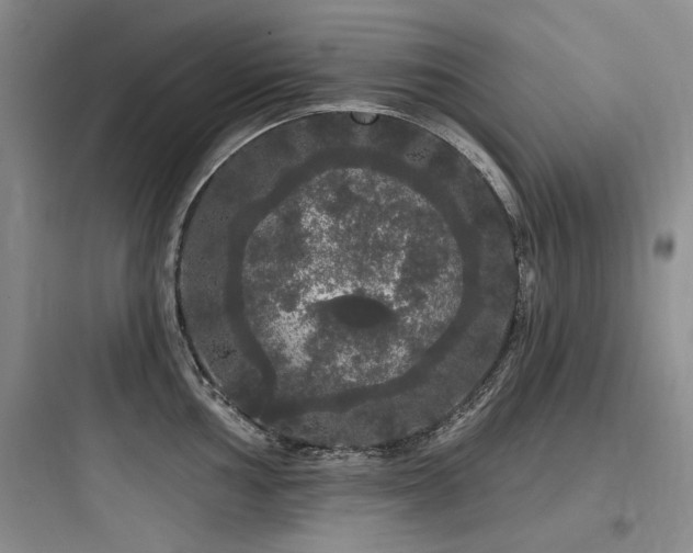 X0000097991002200803241337