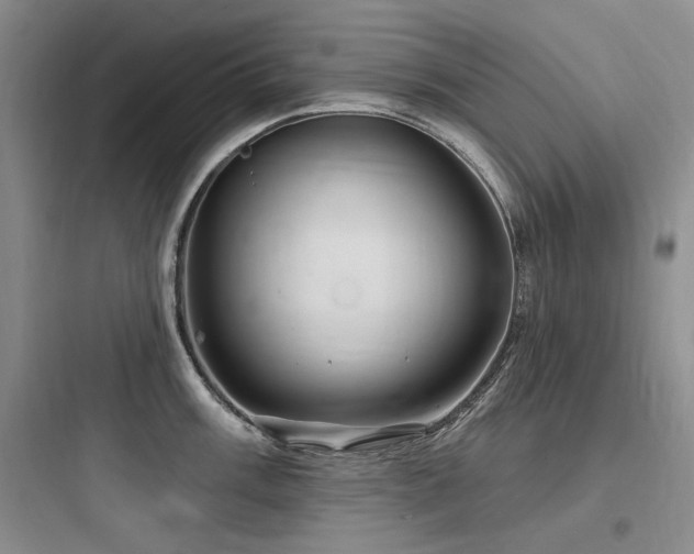 X0000097991003200803241337