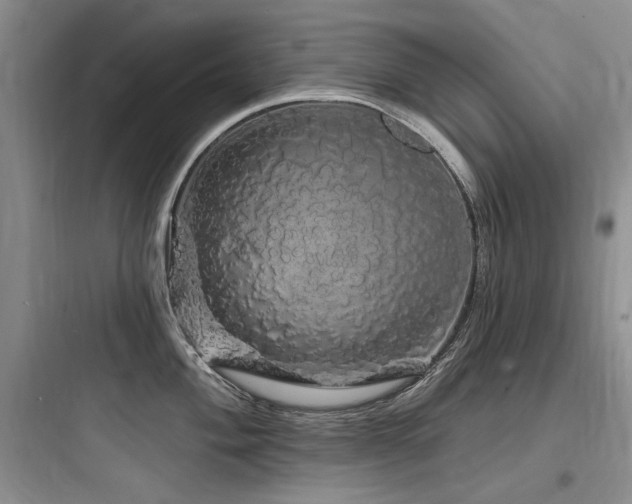 X0000097991004200803241337
