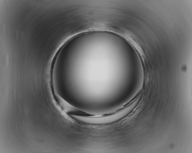 X0000097991005200803241337