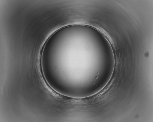 X0000097991006200803241337