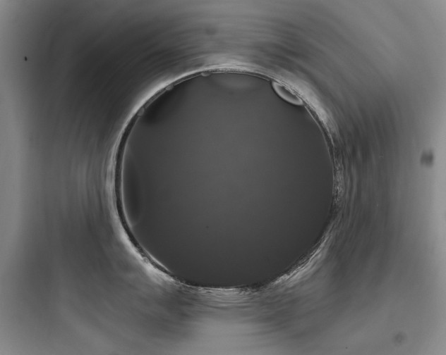 X0000097991007200803241337