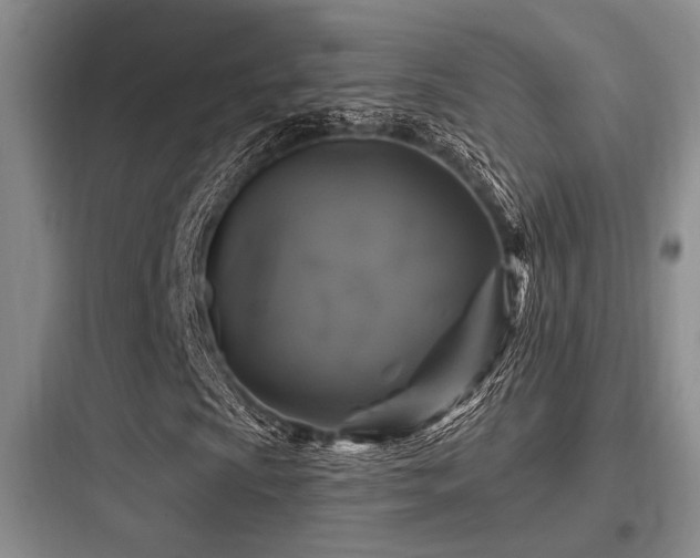 X0000097991009200803241336
