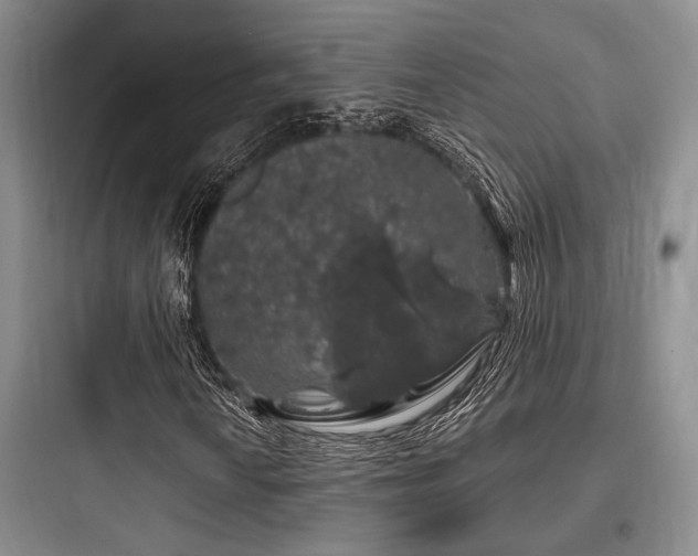 X0000097991010200803241336