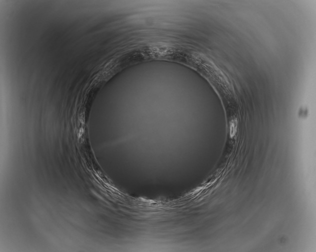 X0000097991011200803241336