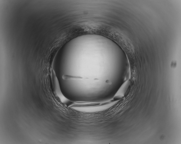 X0000097991012200803241336