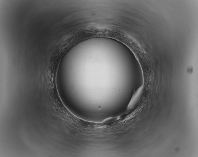 X0000097991013200803241336