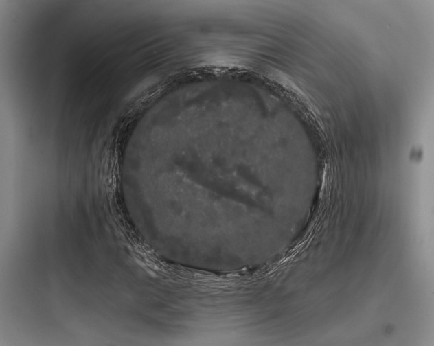 X0000097991014200803241336