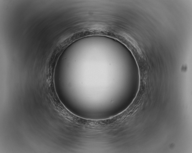 X0000097991015200803241336