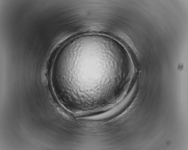 X0000097991018200803241336