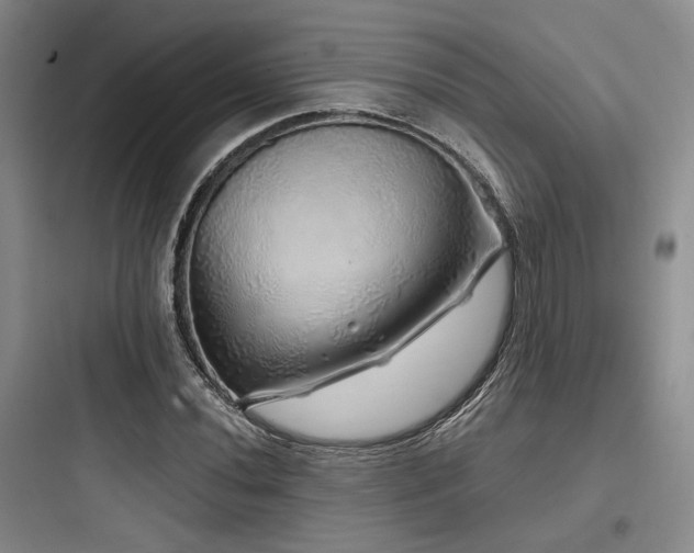 X0000097991020200803241336