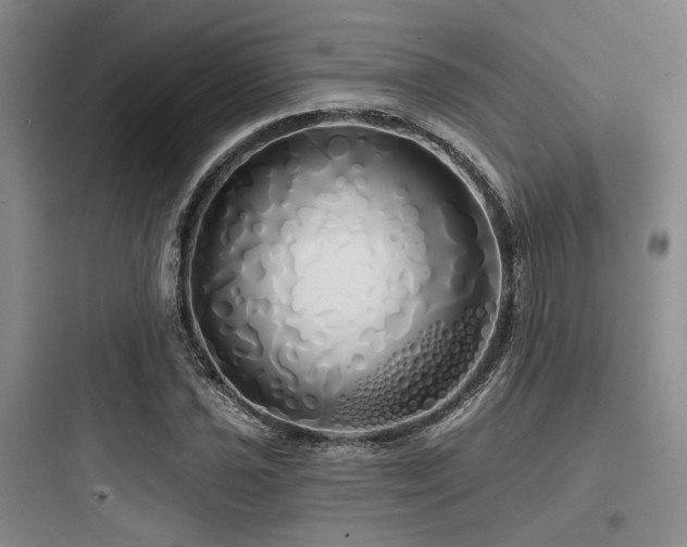 X0000097991021200803241336