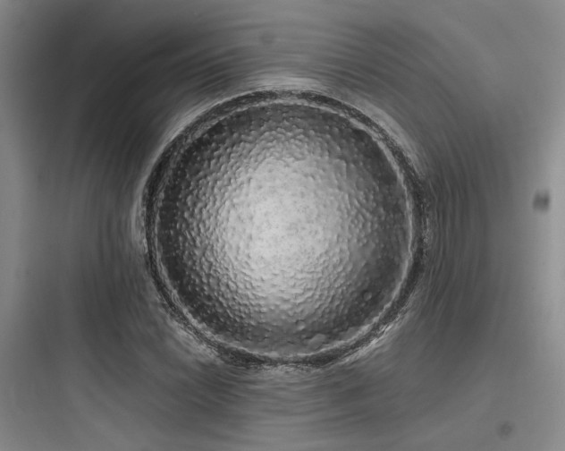 X0000097991022200803241337