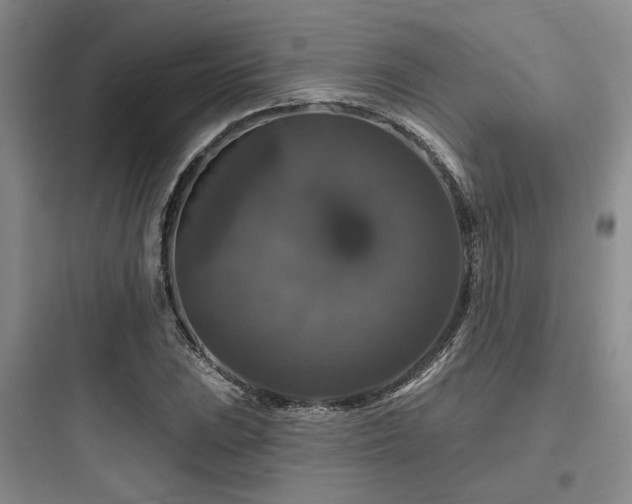 X0000097991023200803241337