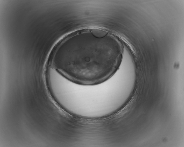 X0000097991024200803241337