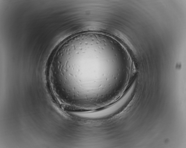 X0000097991026200803241337