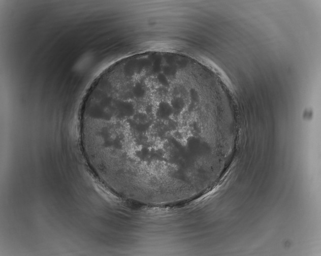 X0000097991027200803241337