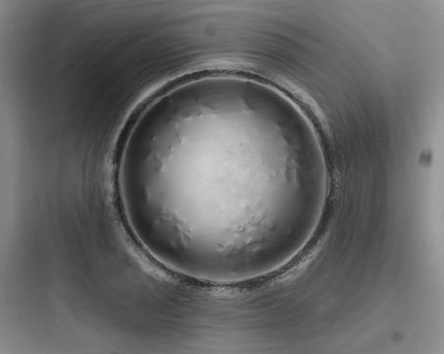 X0000097991029200803241337