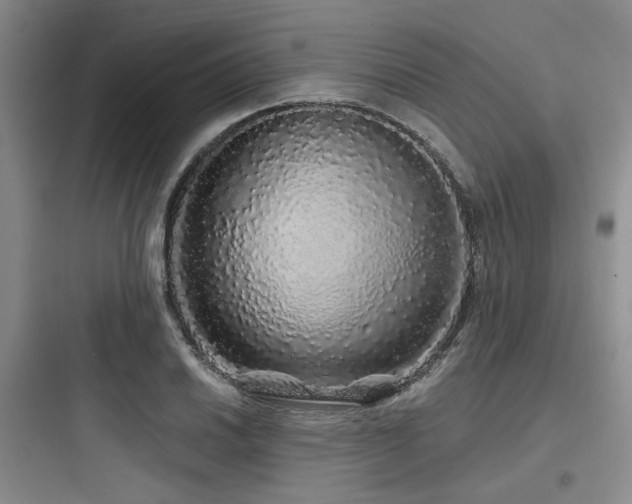 X0000097991030200803241337