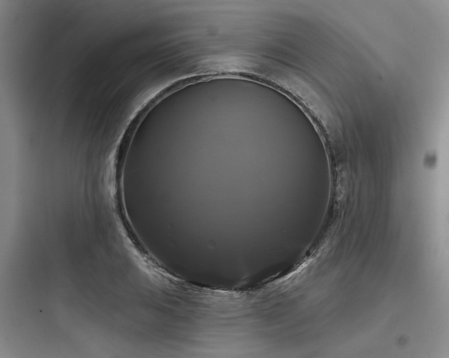 X0000097991031200803241337