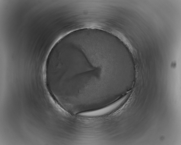 X0000097991032200803241337