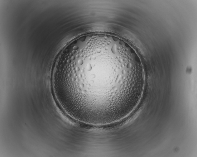 X0000097991033200803241337