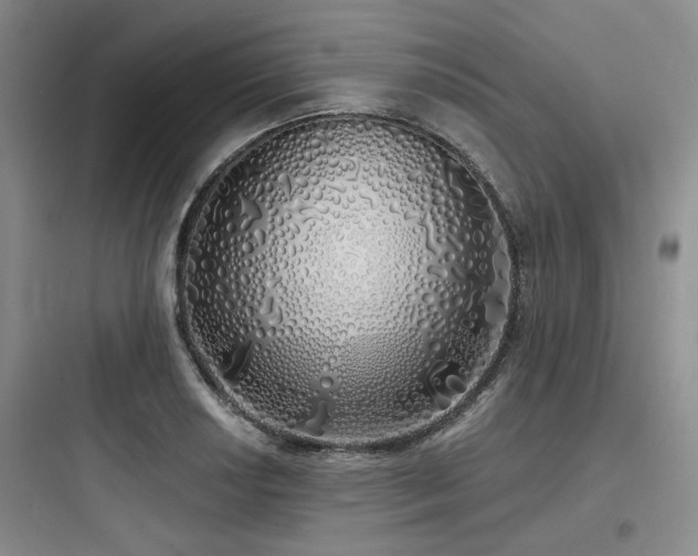 X0000097991034200803241337