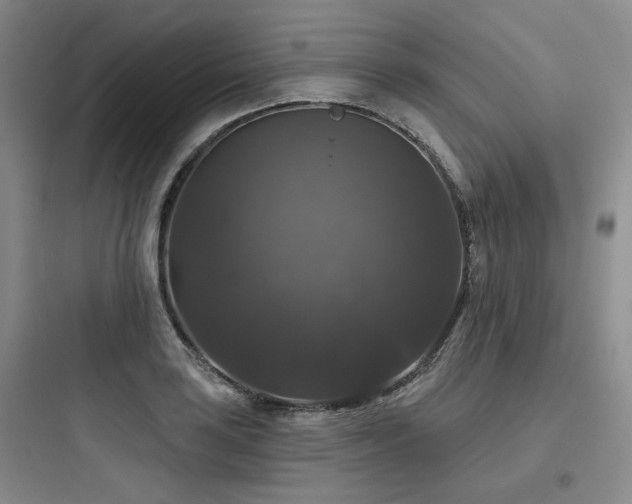 X0000097991035200803241337