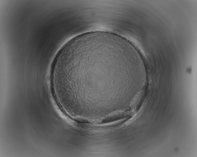 X0000097991038200803241337
