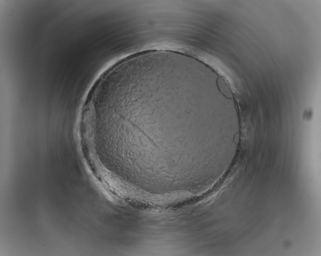X0000097991040200803241337