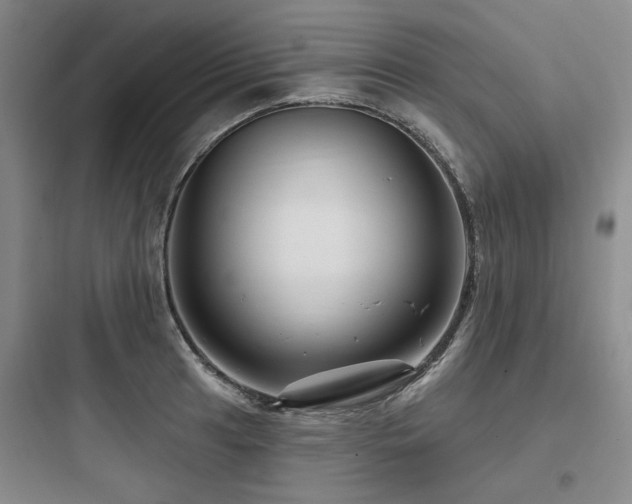 X0000097991041200803241337