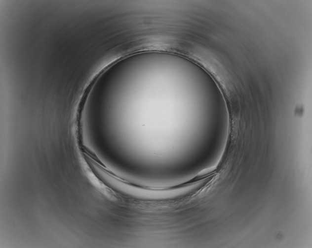 X0000097991042200803241337