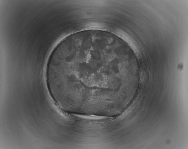 X0000097991043200803241337