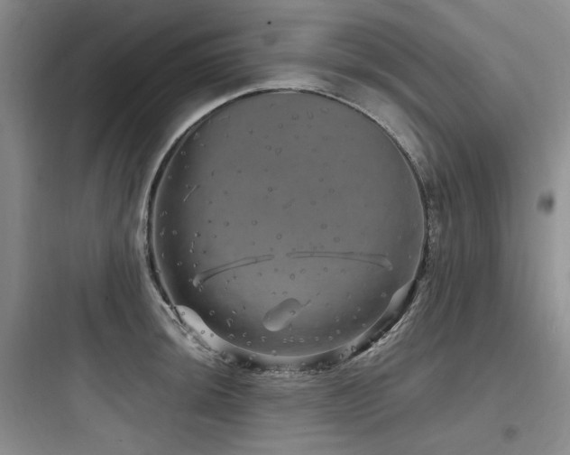 X0000097991044200803241337