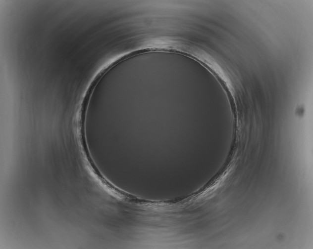 X0000097991045200803241337