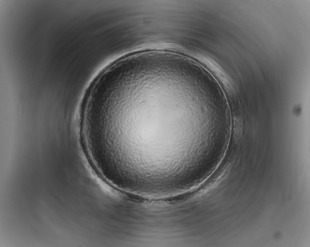 X0000097991046200803241337