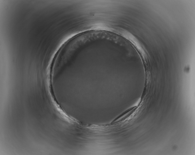 X0000097991048200803241337