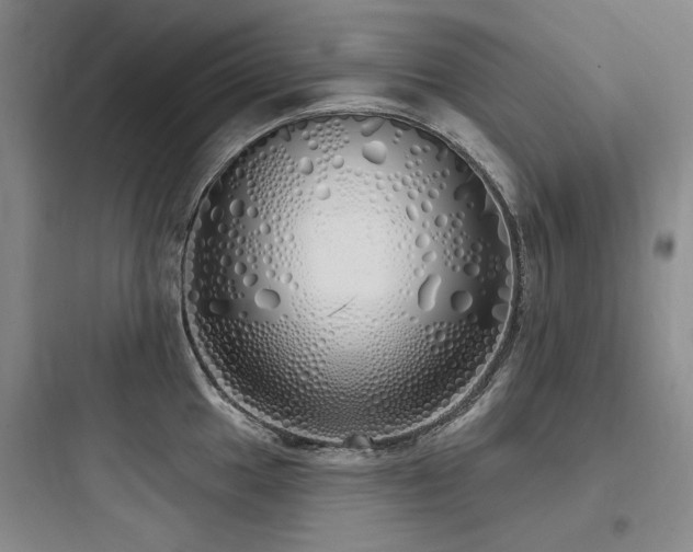 X0000097991049200803241337