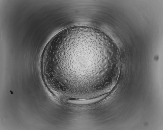 X0000097991050200803241337