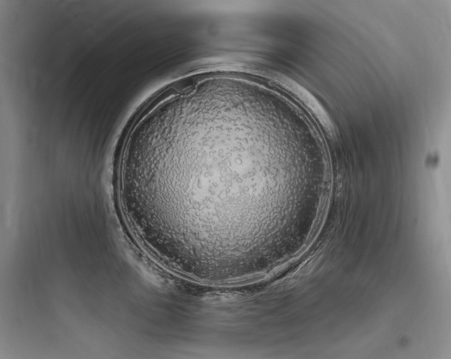 X0000097991051200803241337