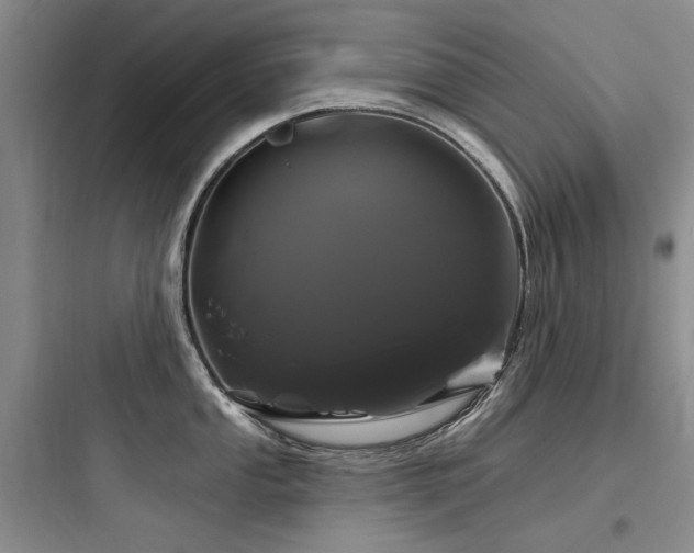 X0000097991053200803241337