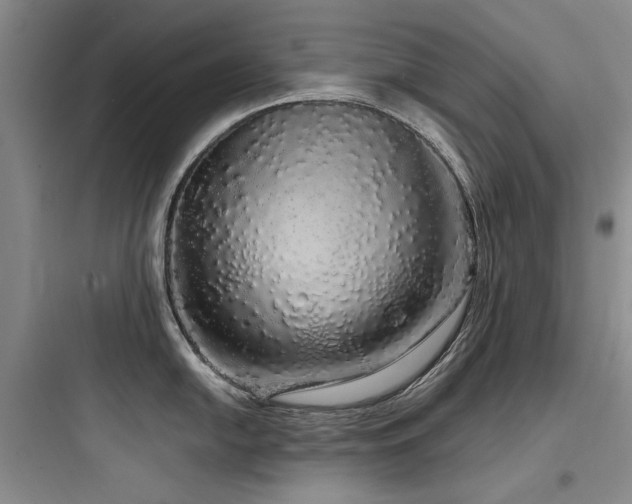 X0000097991054200803241337