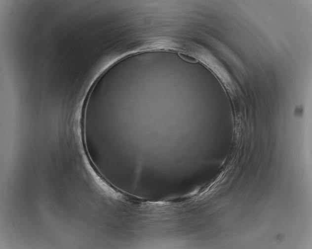 X0000097991055200803241337