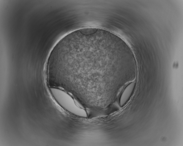 X0000097991056200803241337