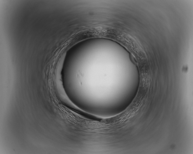 X0000097991057200803241336