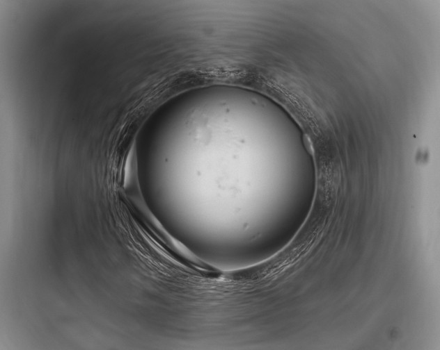 X0000097991058200803241336